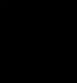 Eroare Black
